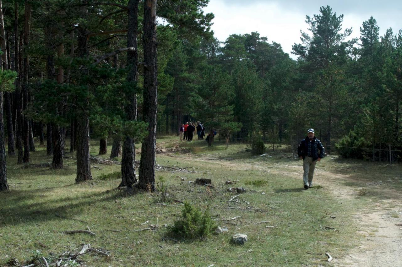 Sierra De Gudar Leilighet Eksteriør bilde